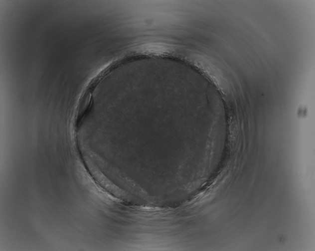 X0000093750399200711061053