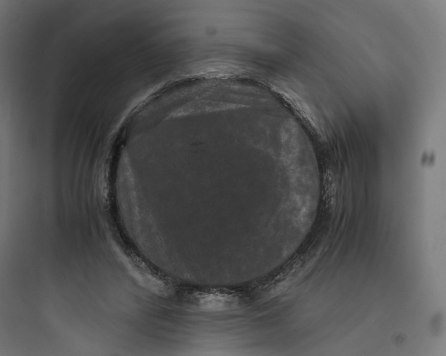 X0000093750400200711061053