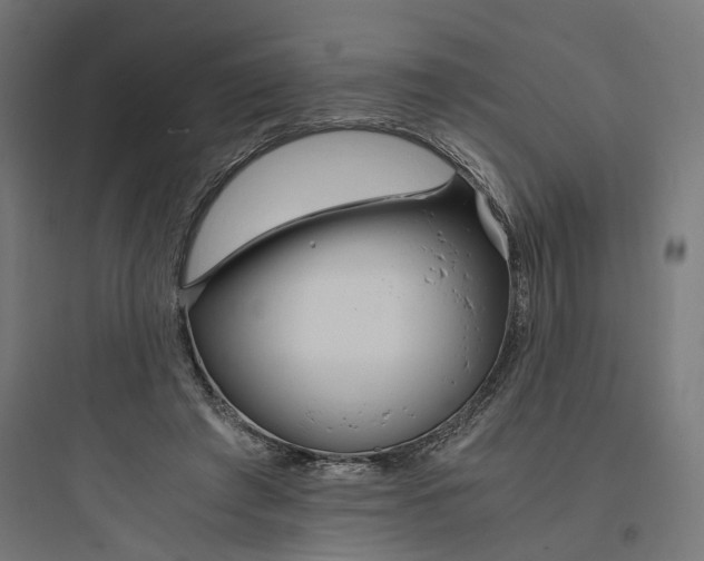 X0000093750401200711061053
