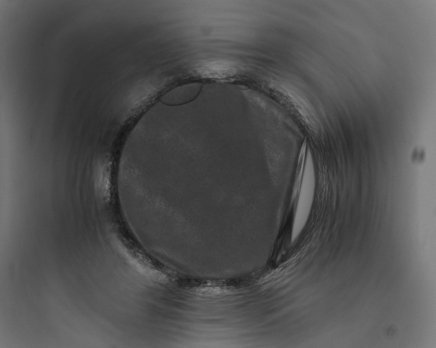 X0000093750404200711061052