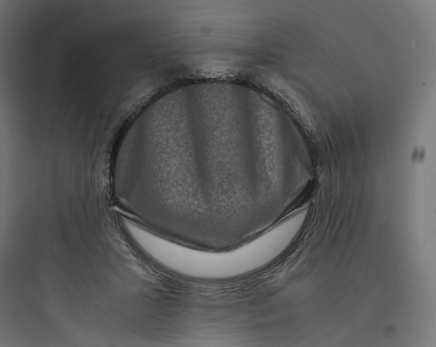 X0000093750407200711061052