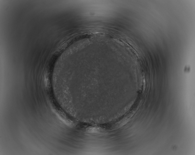 X0000093750408200711061052