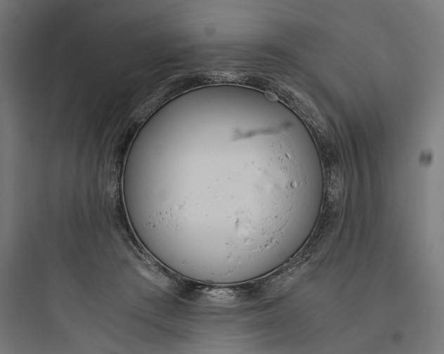 X0000093750409200711061052