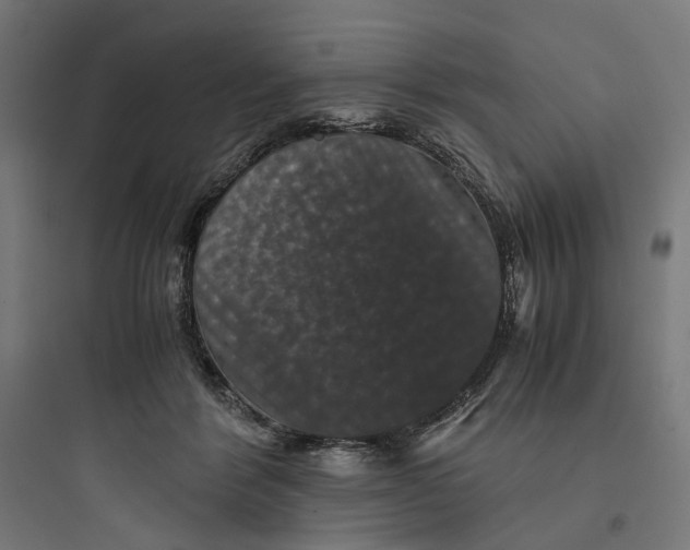 X0000093750412200711061052
