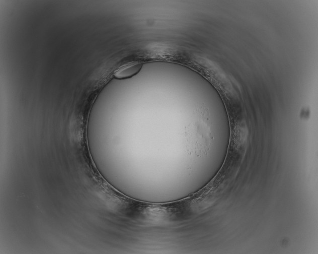 X0000093750413200711061052