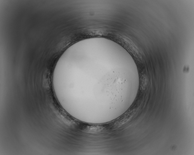 X0000093750414200711061052