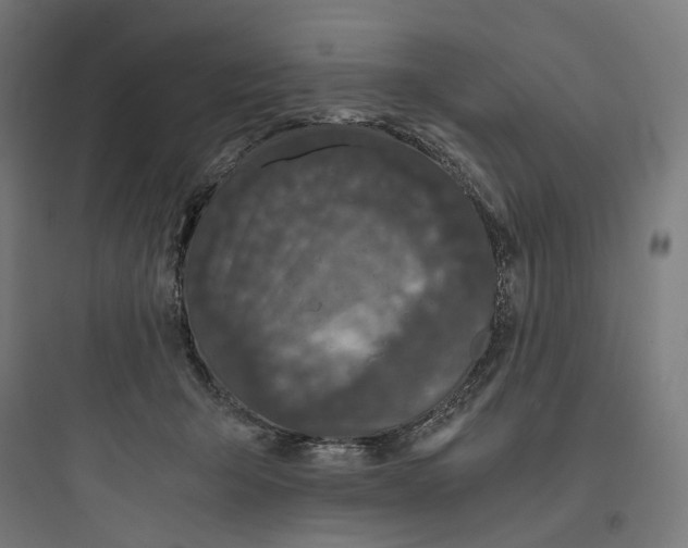 X0000093750415200711061052