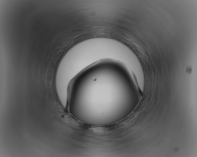 X0000093750417200711061052