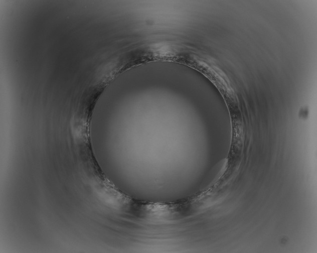 X0000093750419200711061052