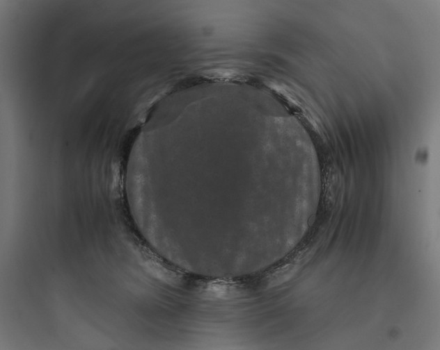 X0000093750420200711061052