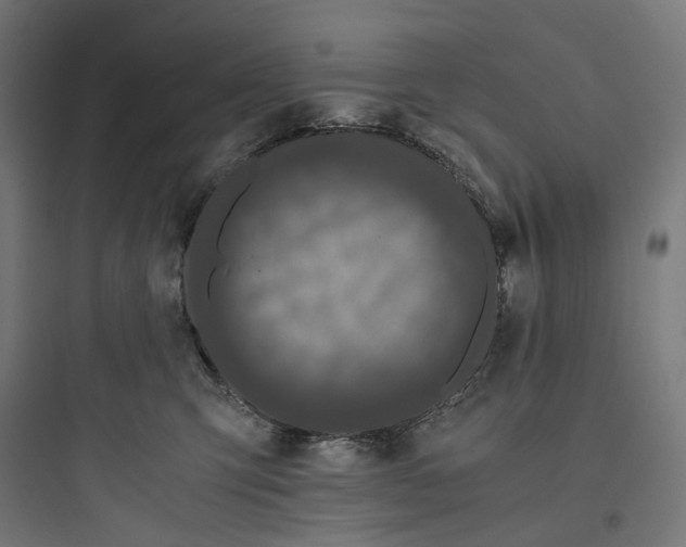X0000093750423200711061052