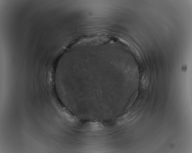 X0000093750424200711061052