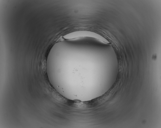 X0000093750425200711061052