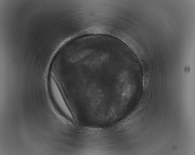 X0000093750438200711061052