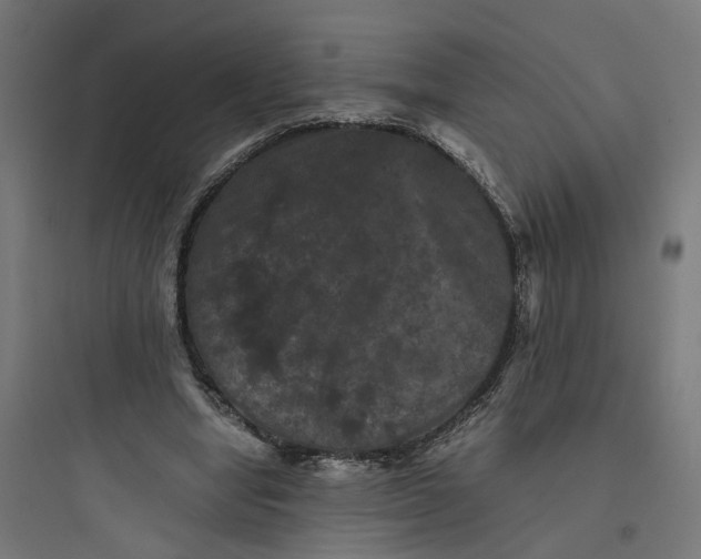 X0000093750442200711061052