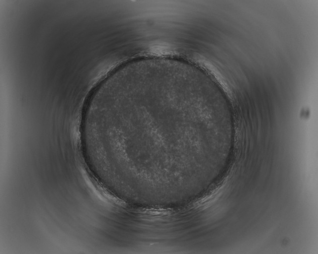 X0000093750443200711061052