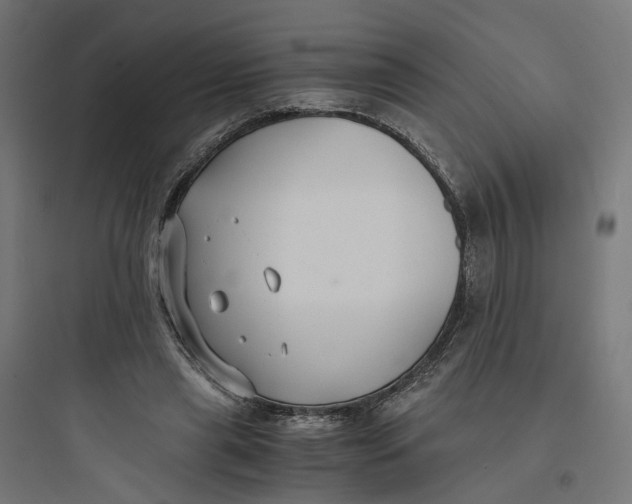 X0000093750445200711061052