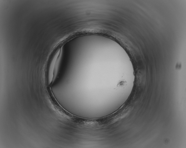 X0000093750446200711061052