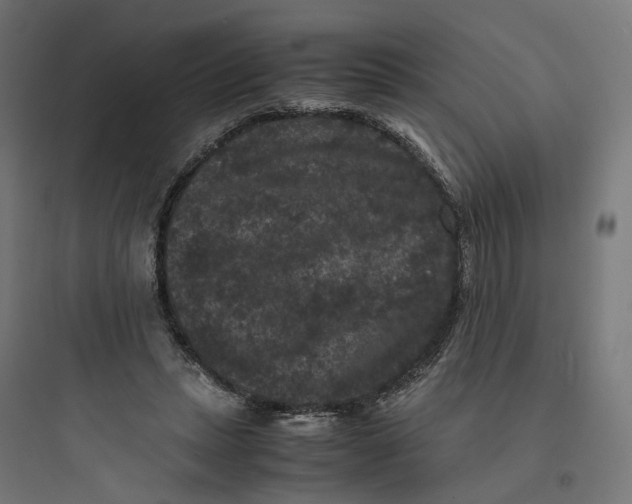 X0000093750447200711061052