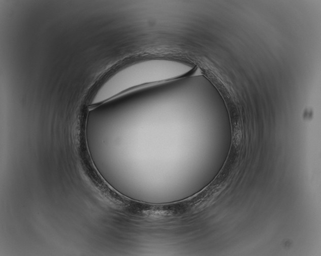 X0000093750448200711061052