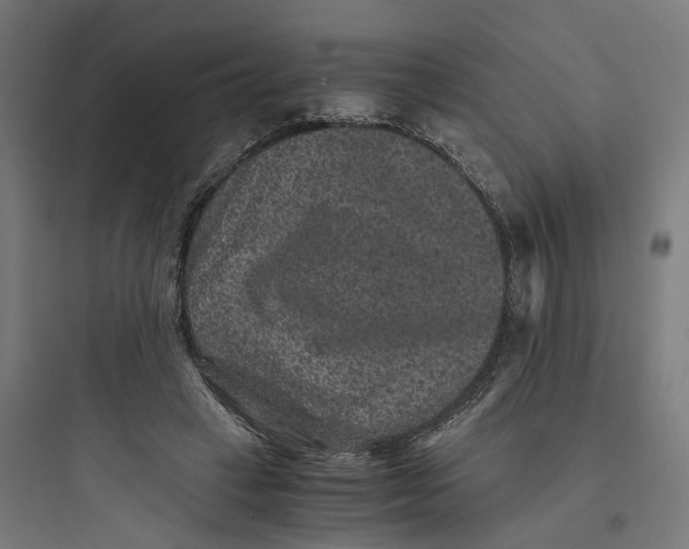 X0000093750449200711061052