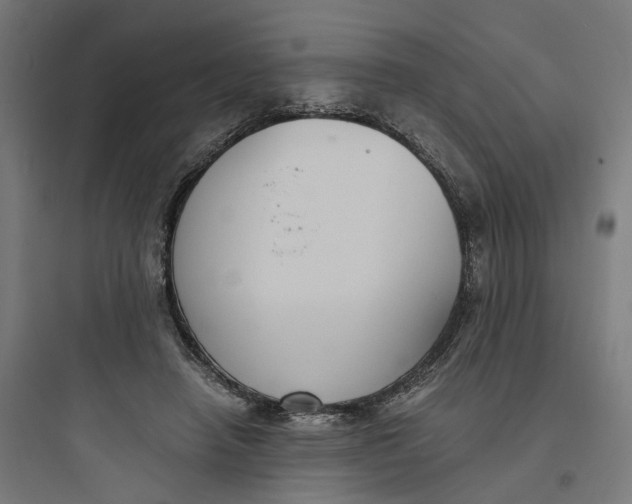 X0000093750450200711061052