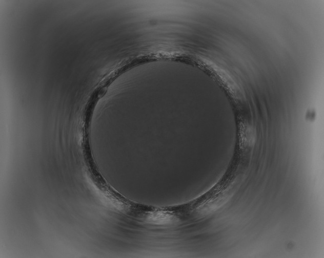 X0000093750451200711061052