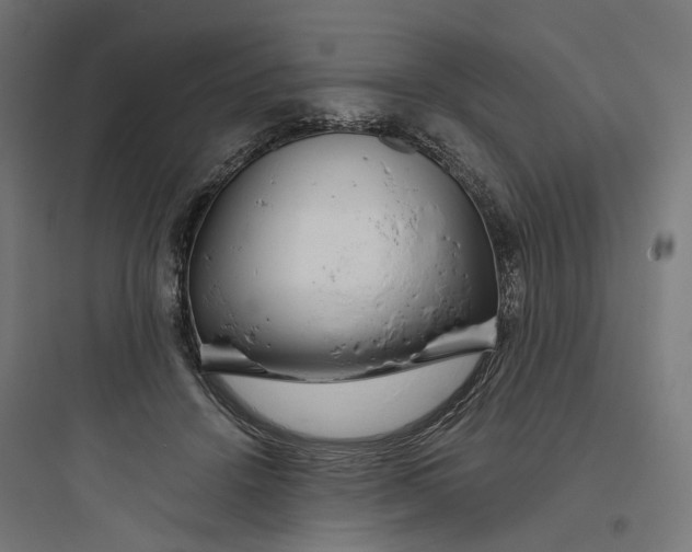 X0000093750456200711061052