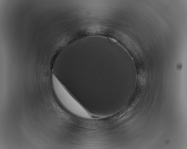 X0000093750458200711061052