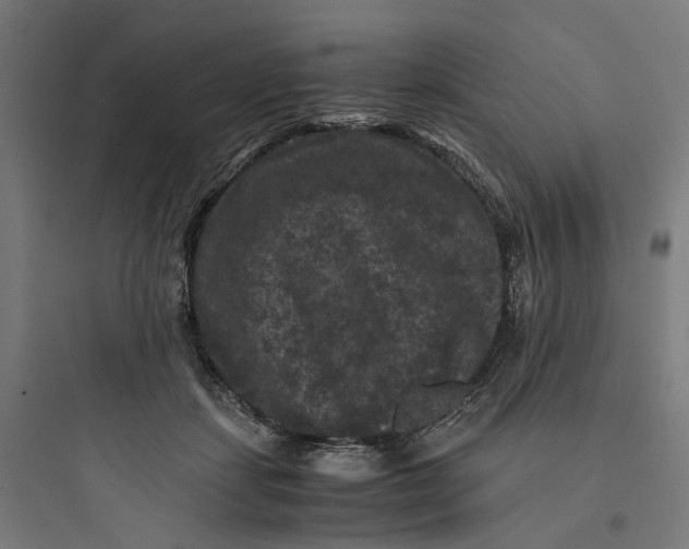X0000093750459200711061052