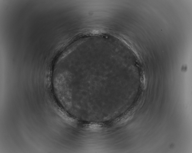 X0000093750462200711061052