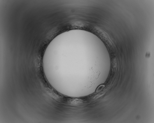 X0000093750463200711061052