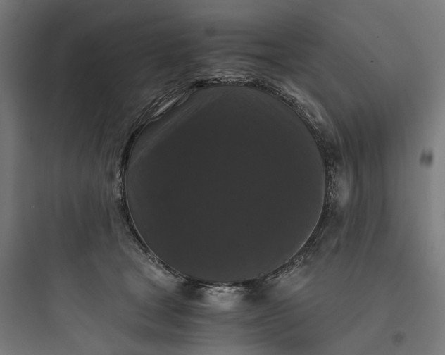 X0000093750465200711061052
