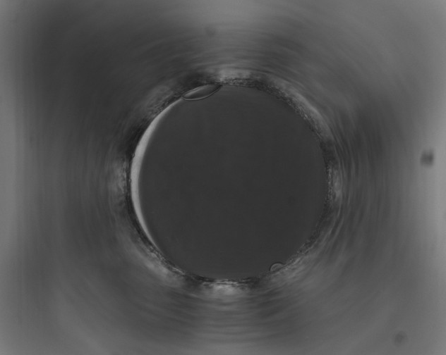 X0000093750475200711061052