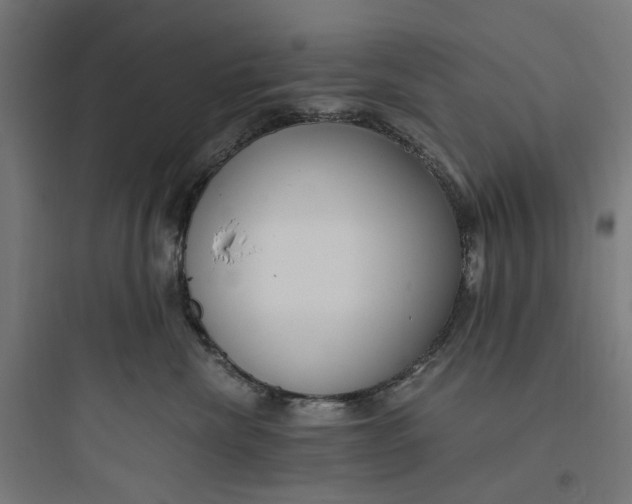 X0000093750476200711061052