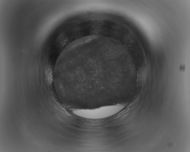 X0000093750479200711061052