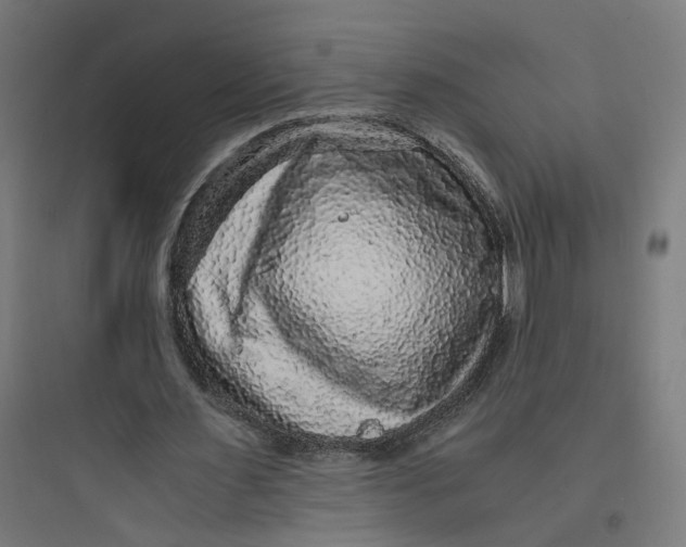 X0000093750483200711061051