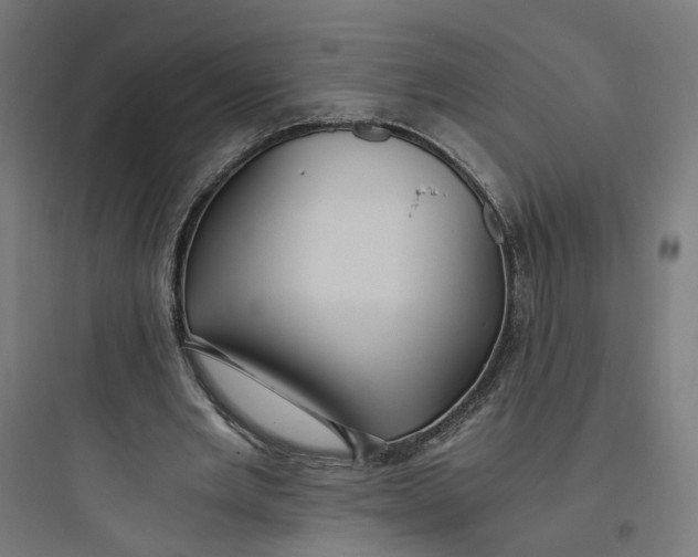 X0000093750485200711061051