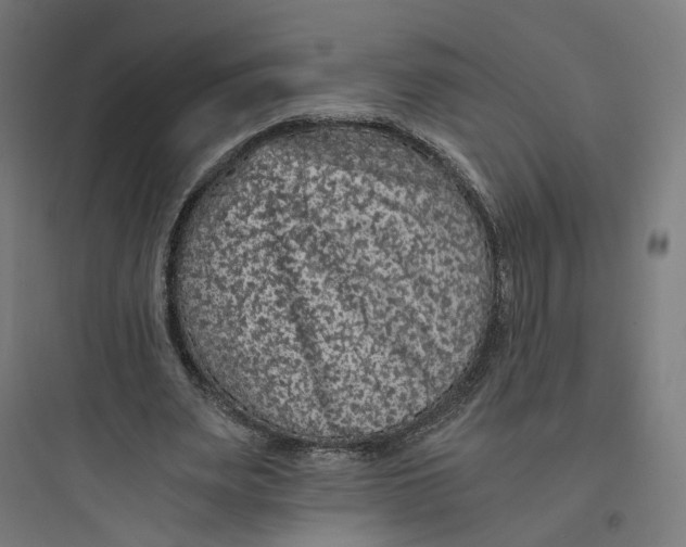 X0000093750487200711061051