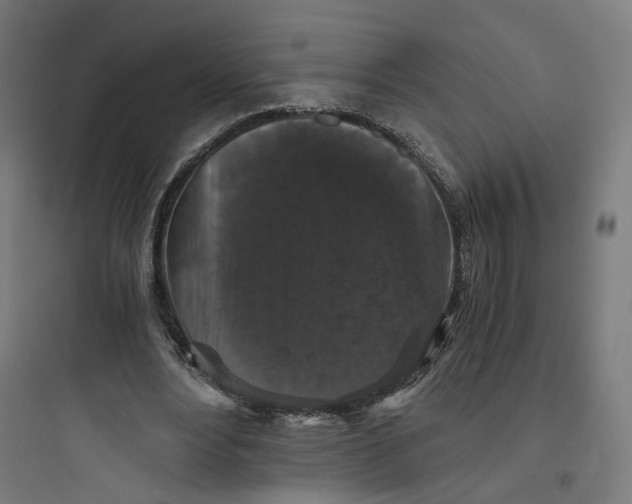 X0000093750488200711061051