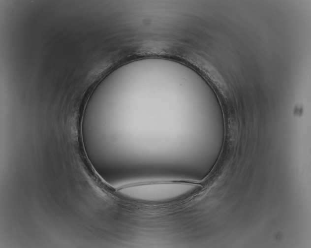 X0000093750489200711061051