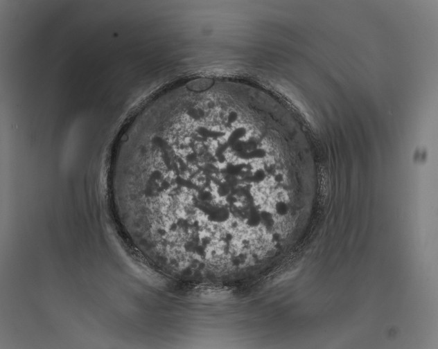 X0000093750491200711061051