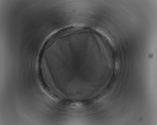 X0000093750492200711061051