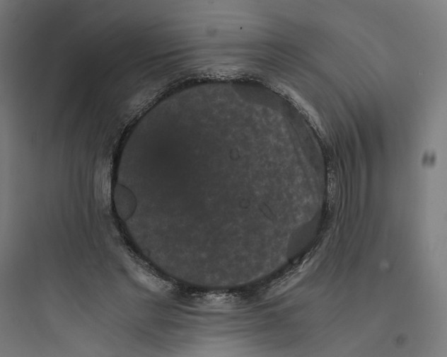X0000093750493200711061051