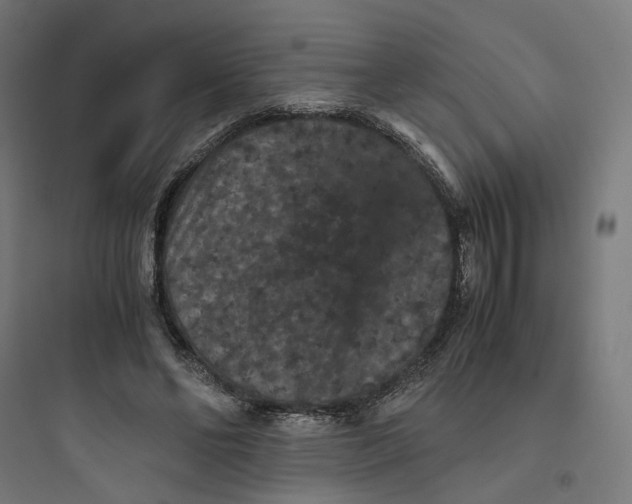 X0000093750494200711061051