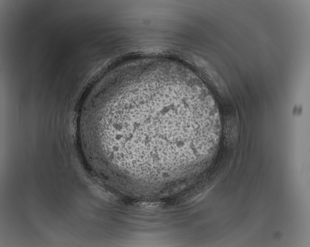 X0000093750495200711061051