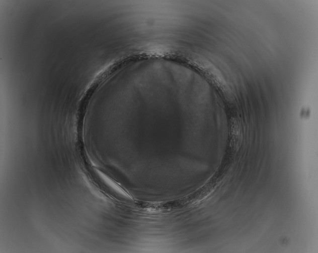 X0000093750496200711061051