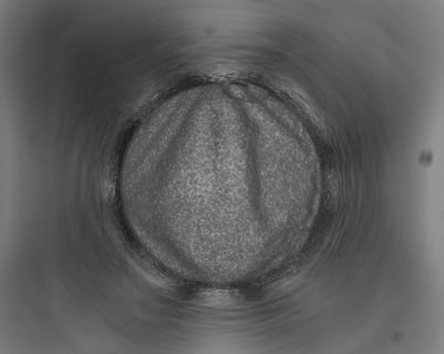X0000093750499200711061051