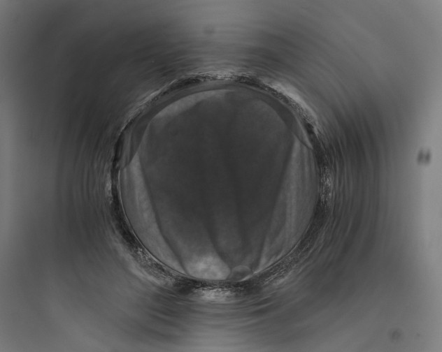 X0000093750500200711061051