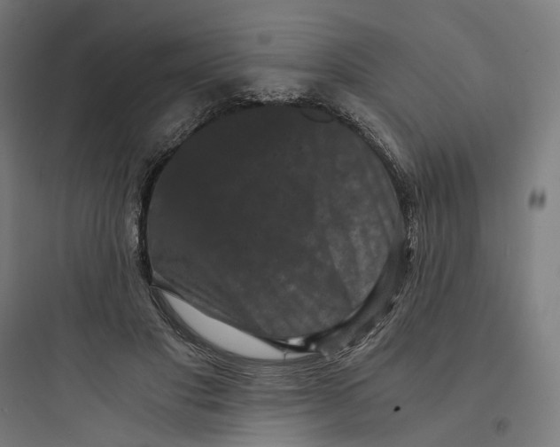 X0000093750501200711061051